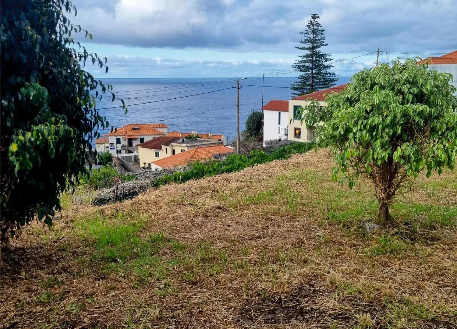 Villa Blissful Haven à Porto Moniz